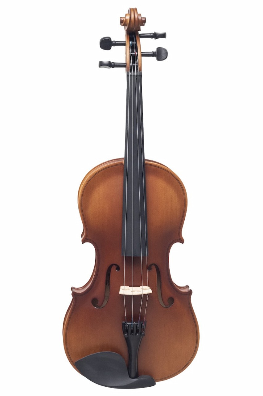 LG001-HPM Viola Académica Aileen  14”,15” Y 16”