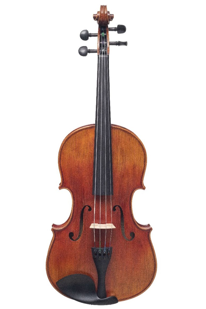 Viola Aileen - LH500Y