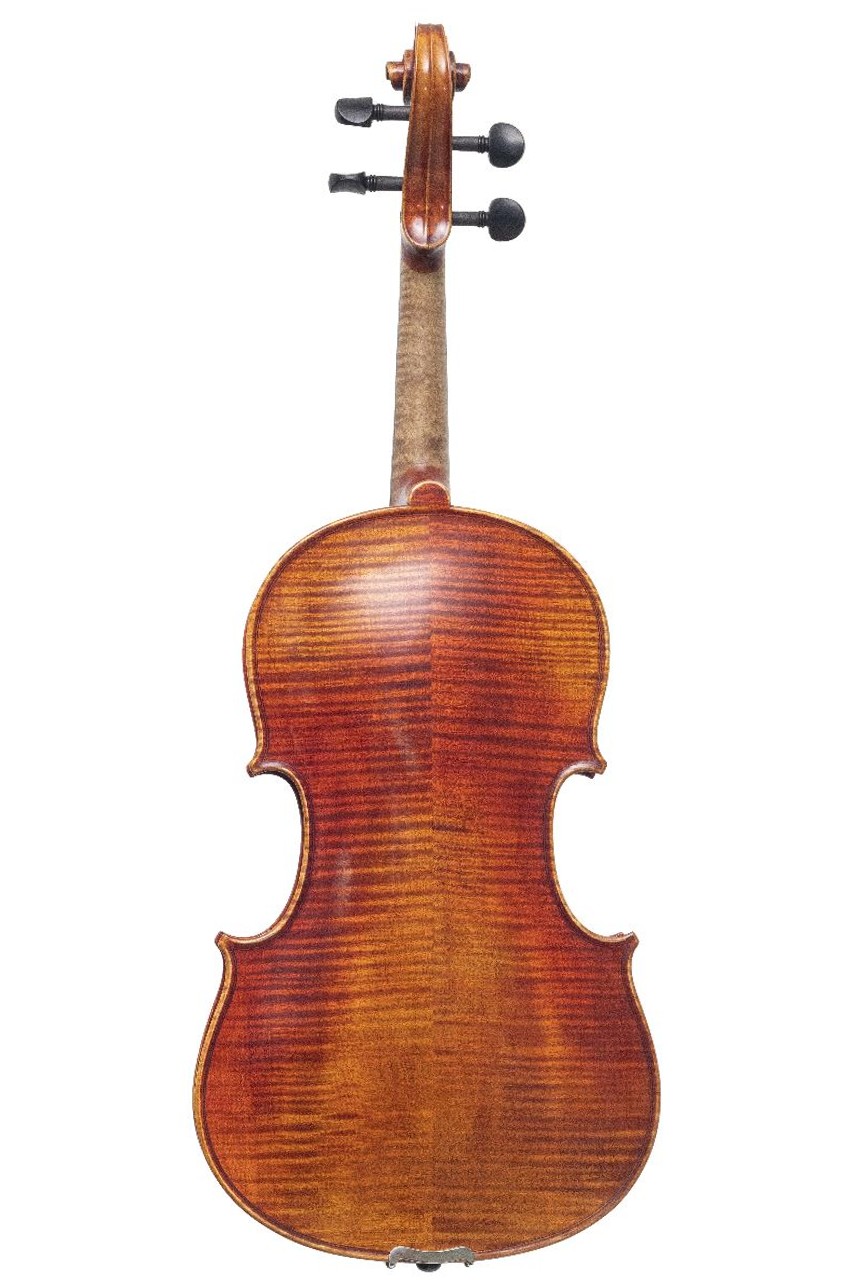 Alternative view of Viola Aileen - LH500Y