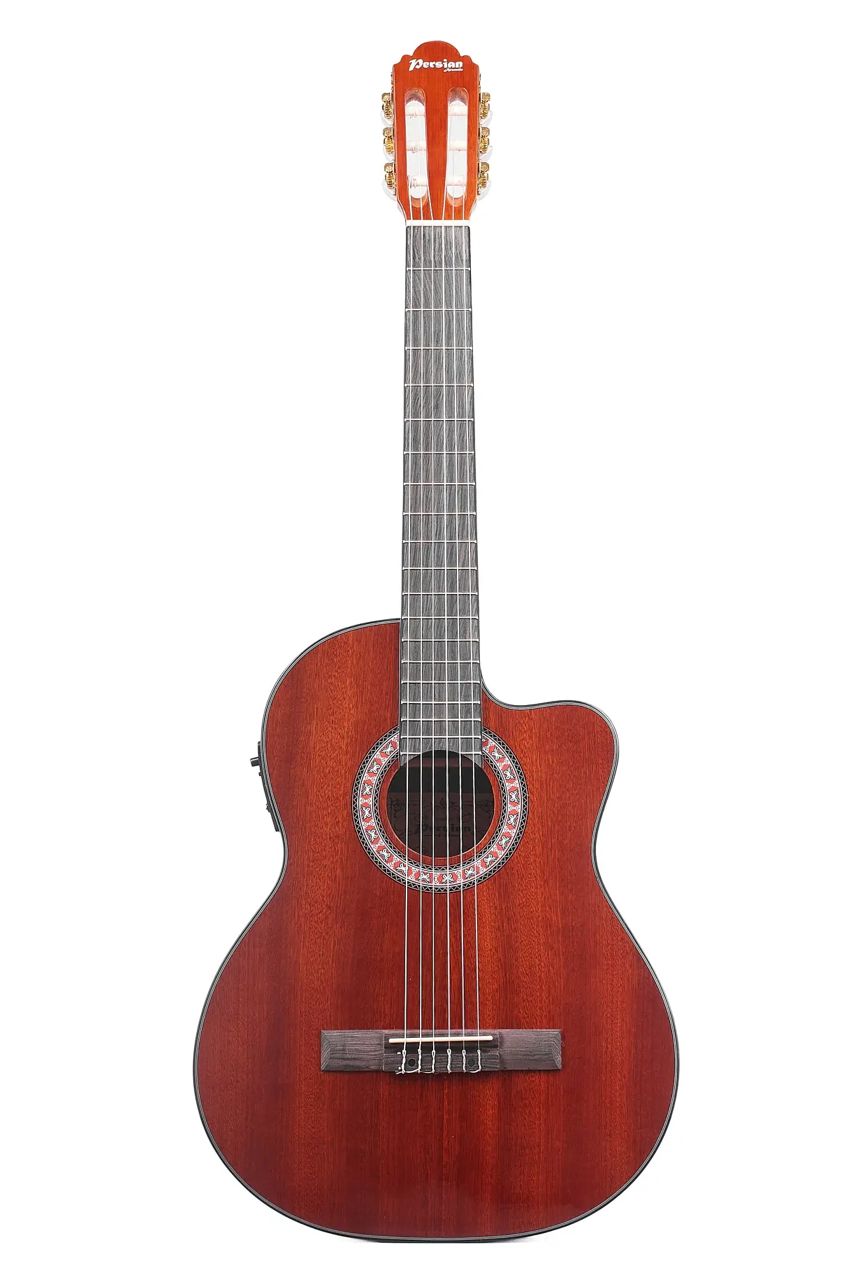 Guitarra Clásica - AC309-E