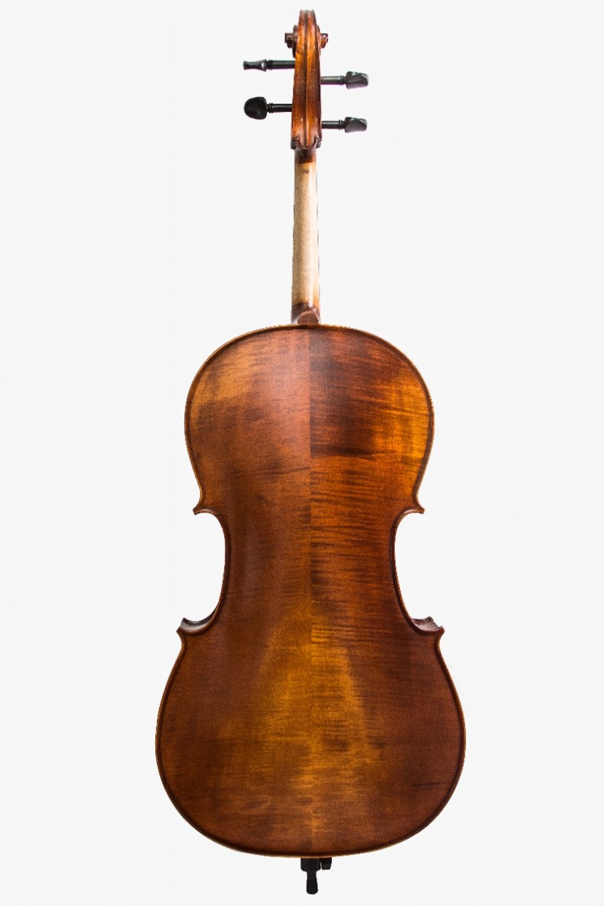 Alternative view of ACL-231-B Violonchelo Académico Aileen 4/4