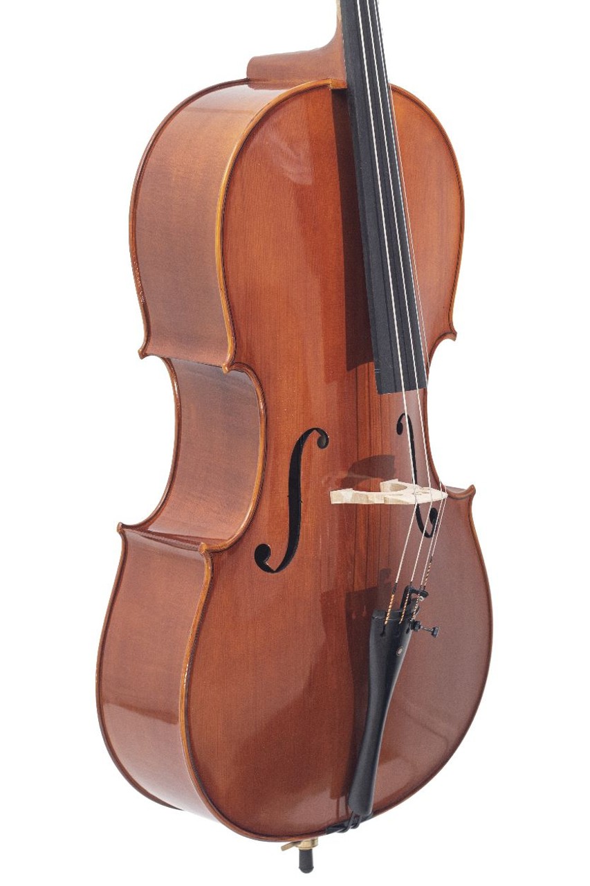 CH30Y-N Violonchelo Orquestal Aileen - Imagen 4