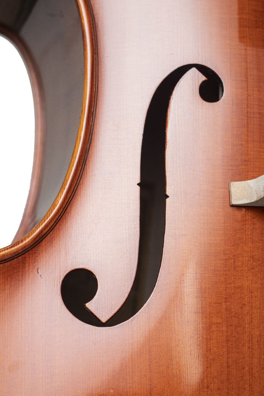 CH30Y-N Violonchelo Orquestal Aileen - Imagen 6