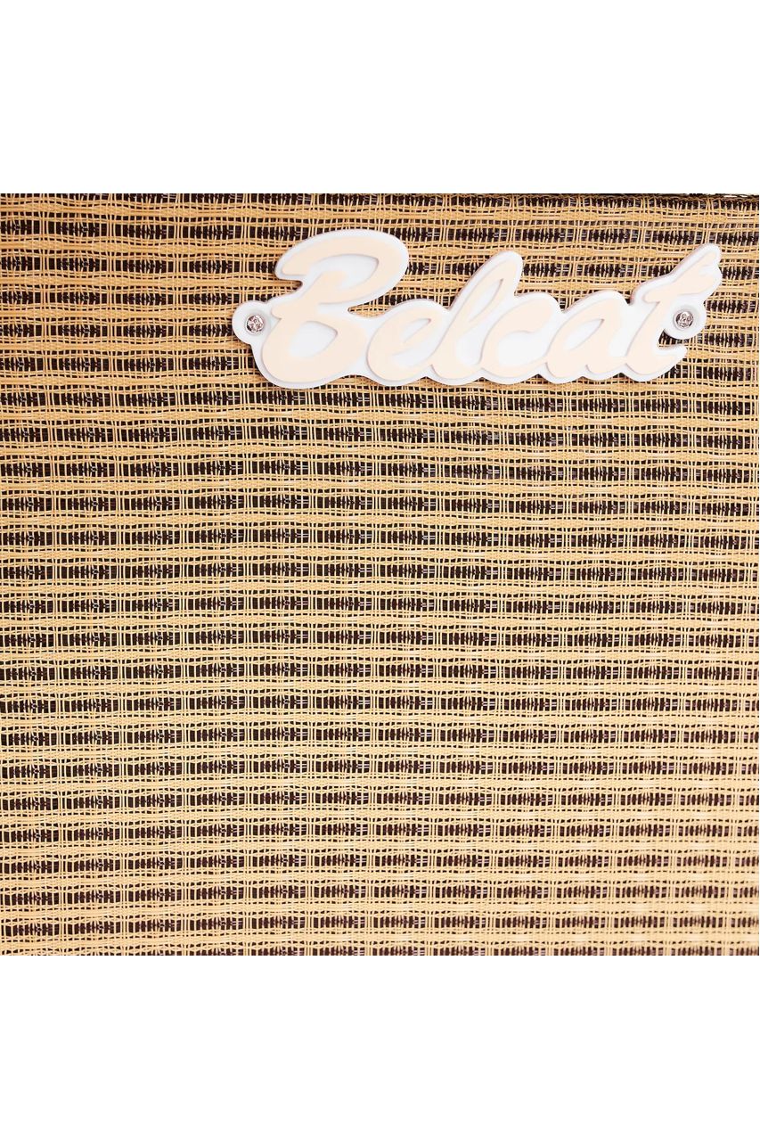 Amplificador Belcat Para Bajo 25w - BC-25 - Imagen 6