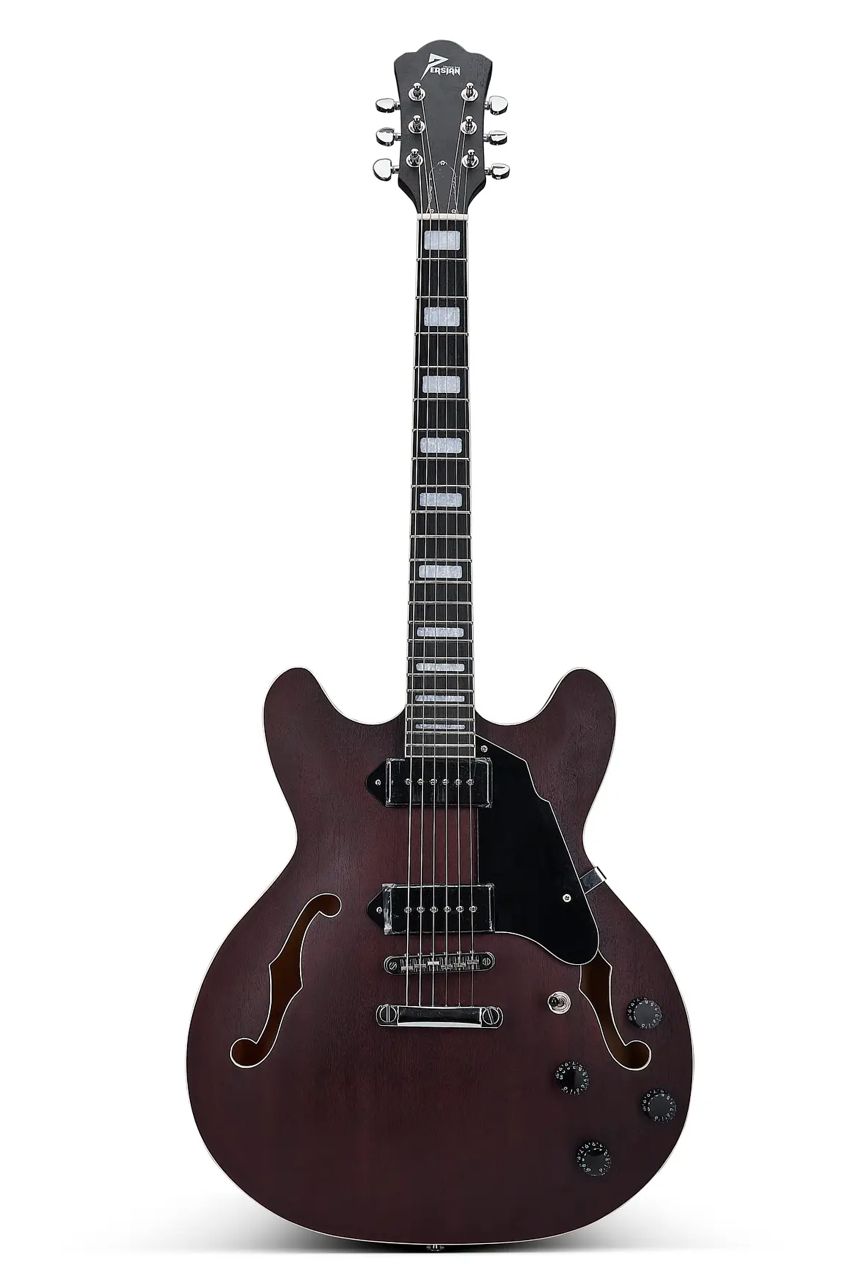 Guitara Eléctrica Jazz Style - EGJ902