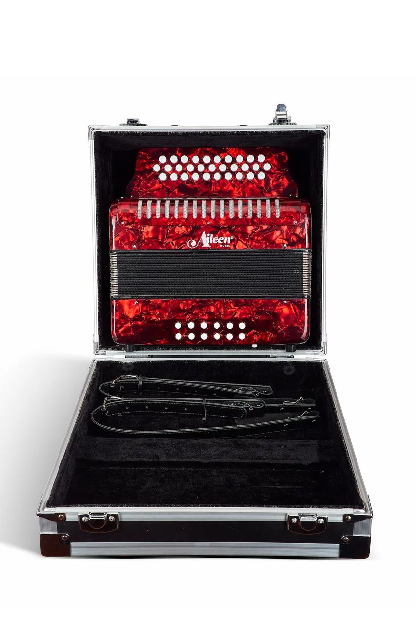 Acordeón Aileen B3112 para Vallenato - Sonido Auténtico - Imagen 10