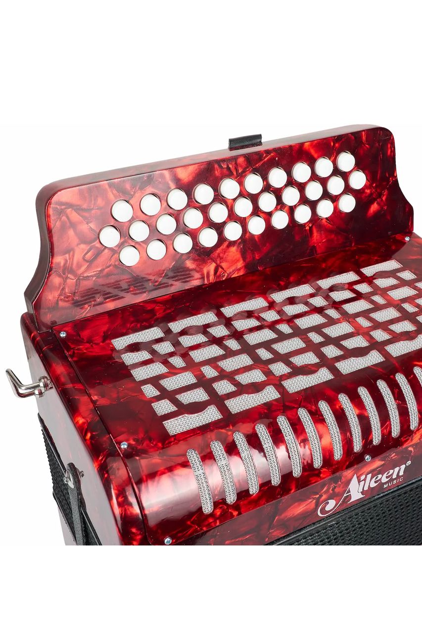 Acordeón Aileen B3112 para Vallenato - Sonido Auténtico - Imagen 3