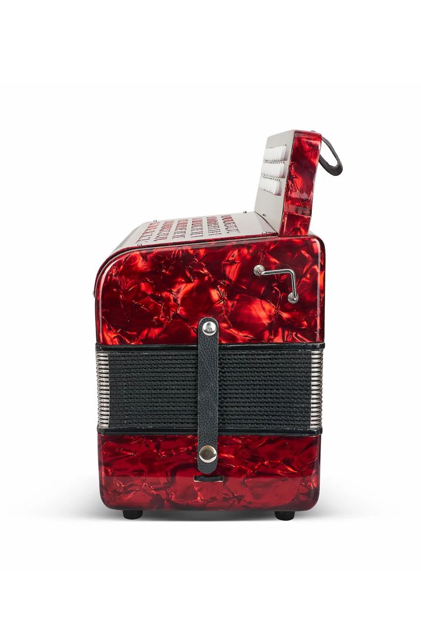 Acordeón Aileen B3112 para Vallenato - Sonido Auténtico - Imagen 5