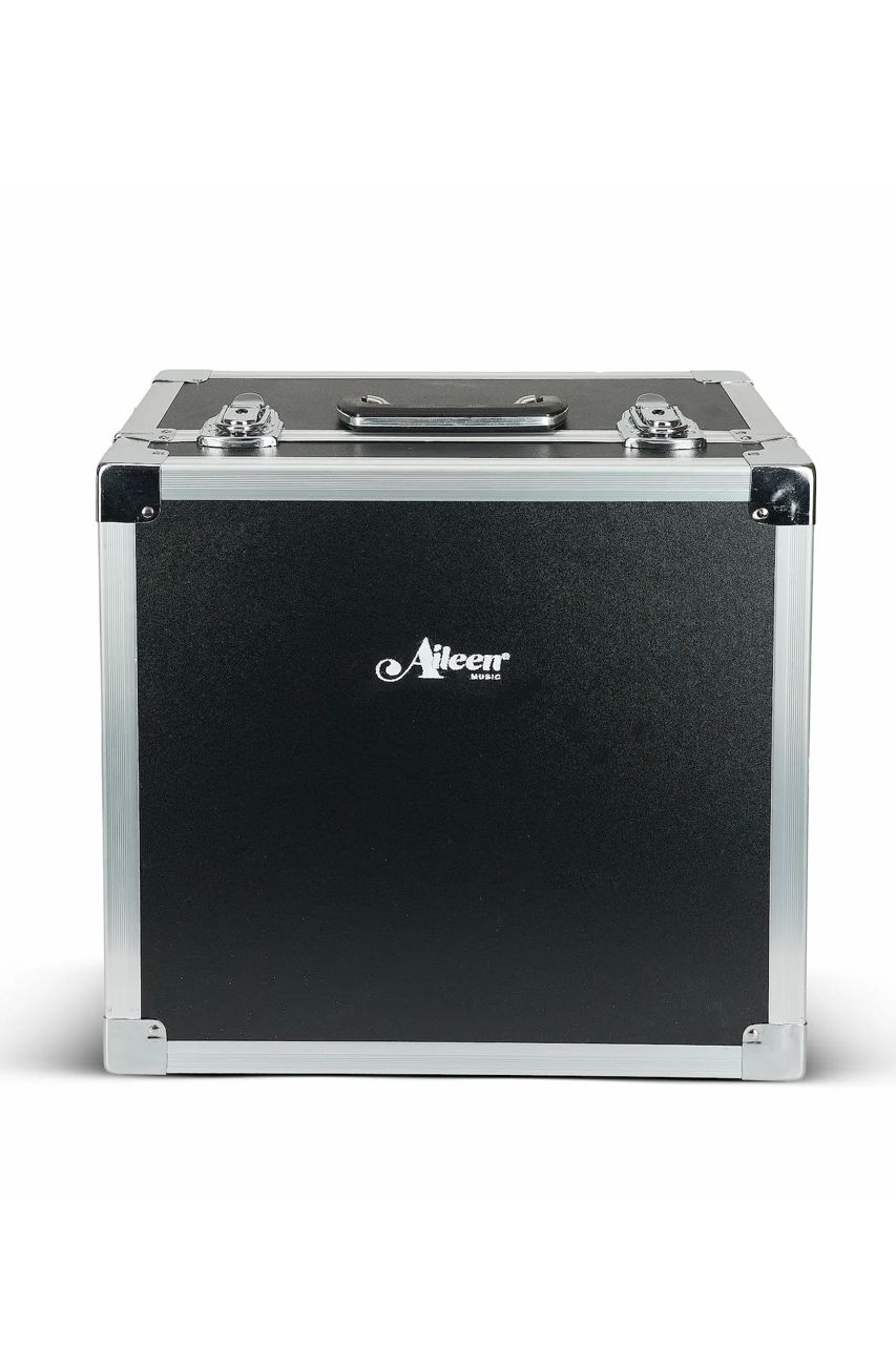 Acordeón Aileen B3112 para Vallenato - Sonido Auténtico - Imagen 8