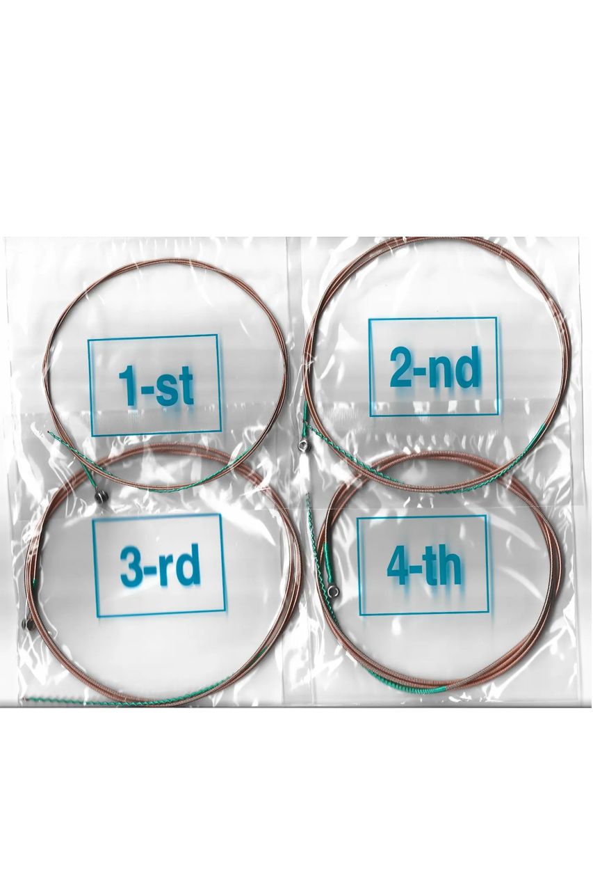 Cuerdas para Bajo Acústico AB300 - Aleación de Níquel - Imagen 3