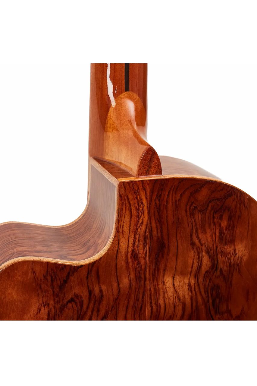 Guitarra Electroacústica Persian AC181AC-E – Clásica con cutaway, Zebrano/Palo Rojo - Imagen 10