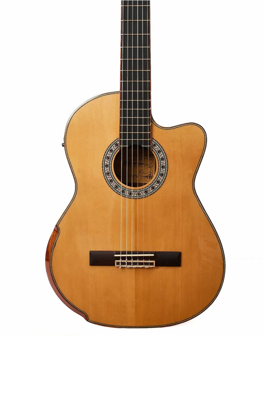 Guitarra Electroacústica Persian AC181AC-E – Clásica con cutaway, Zebrano/Palo Rojo - Imagen 3