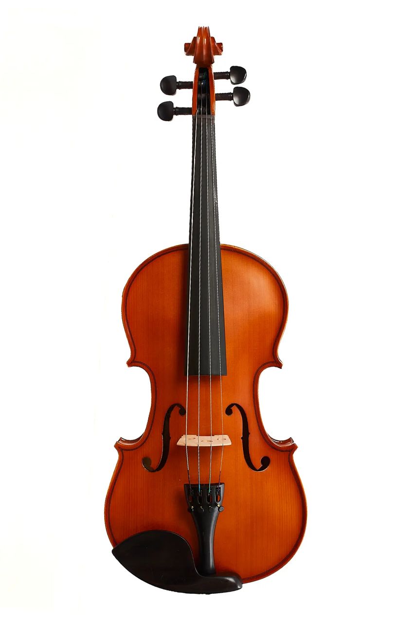 Viola Aileen LG103 15" – Estudio y presentación