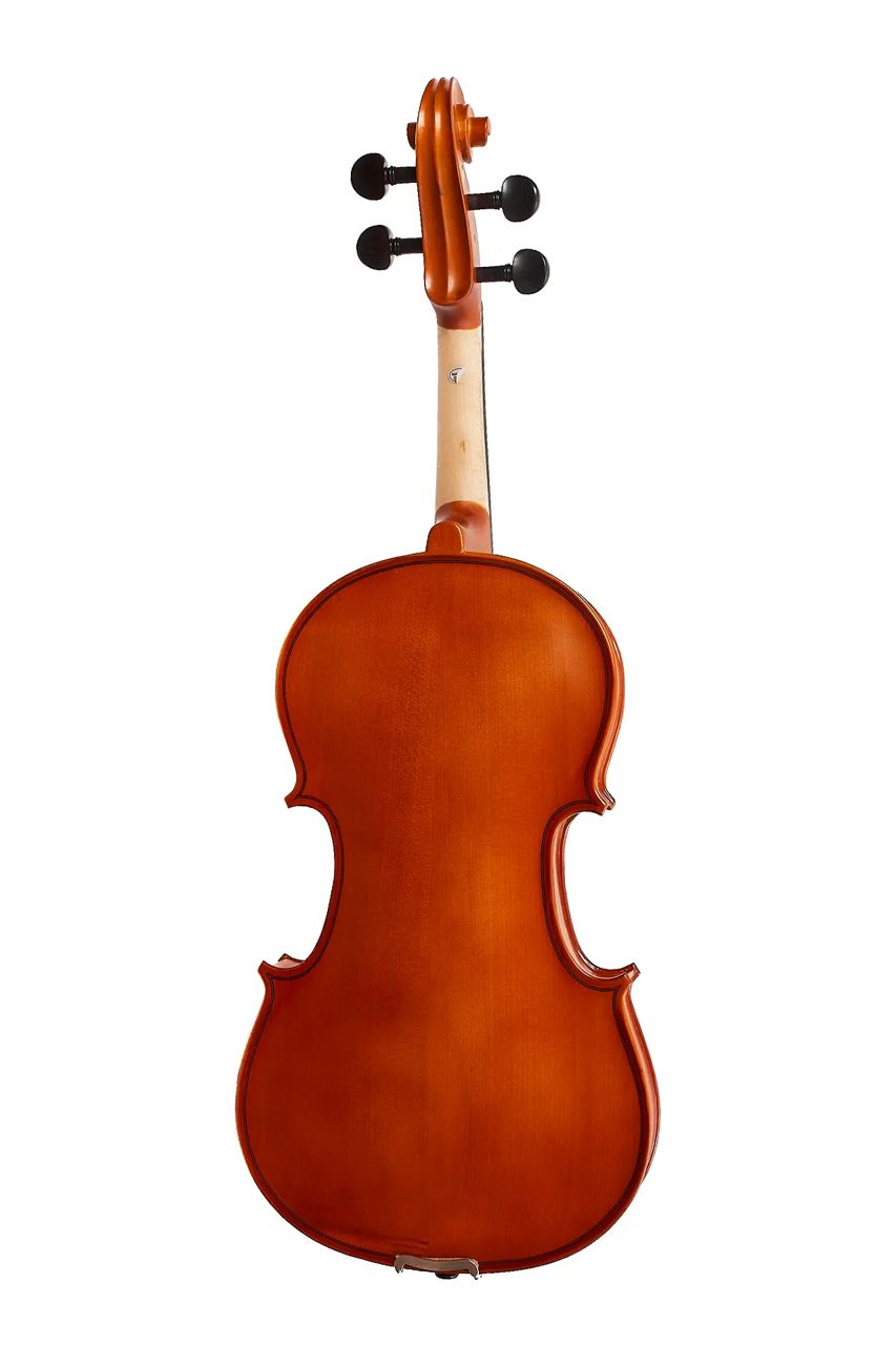 Viola Aileen LG103 15" – Estudio y presentación - Imagen 2