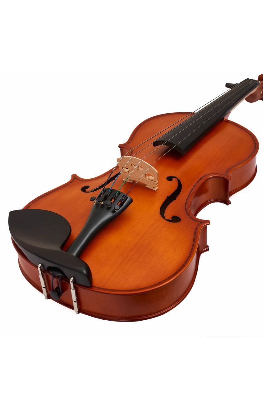 Viola Aileen LG103 15" – Estudio y presentación - Imagen 3