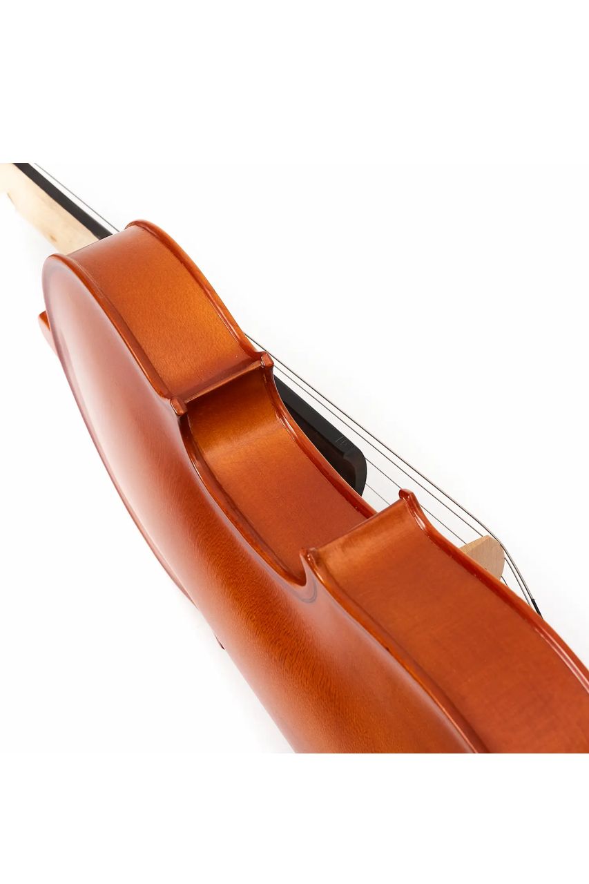 Viola Aileen LG103 15" – Estudio y presentación - Imagen 4