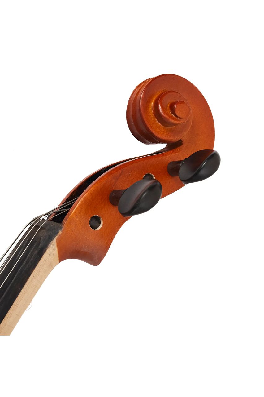 Viola Aileen LG103 15" – Estudio y presentación - Imagen 6