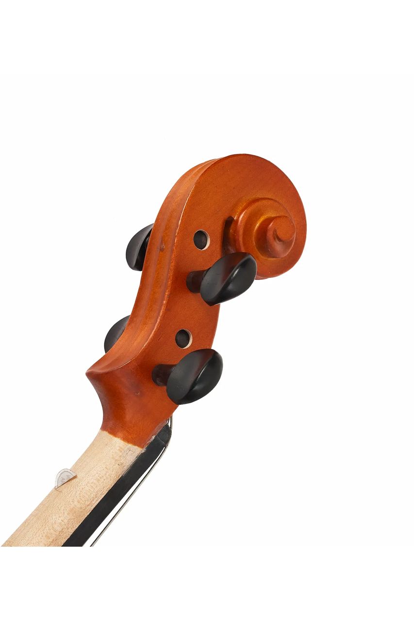 Viola Aileen LG103 15" – Estudio y presentación - Imagen 7