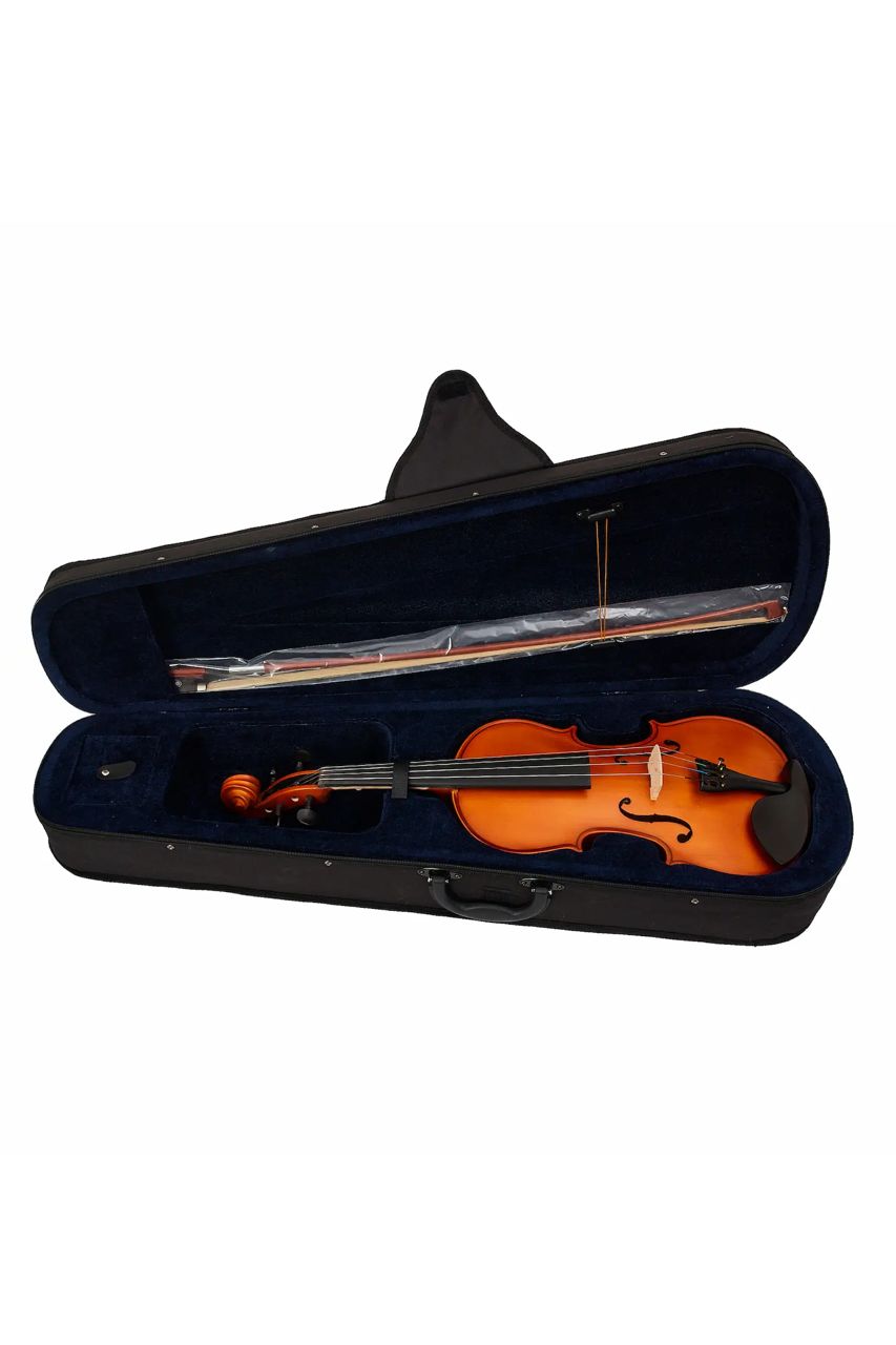 Viola Aileen LG103 15" – Estudio y presentación - Imagen 9